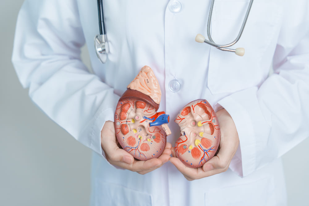 Biopsia renal